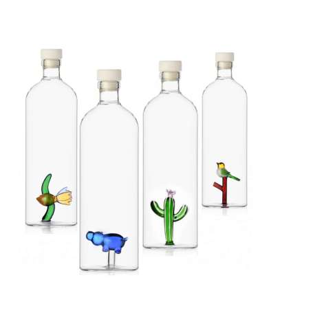 Bottle Desert Plants