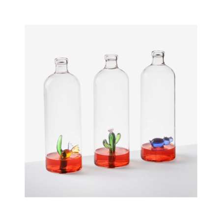 Bottle Desert Plants