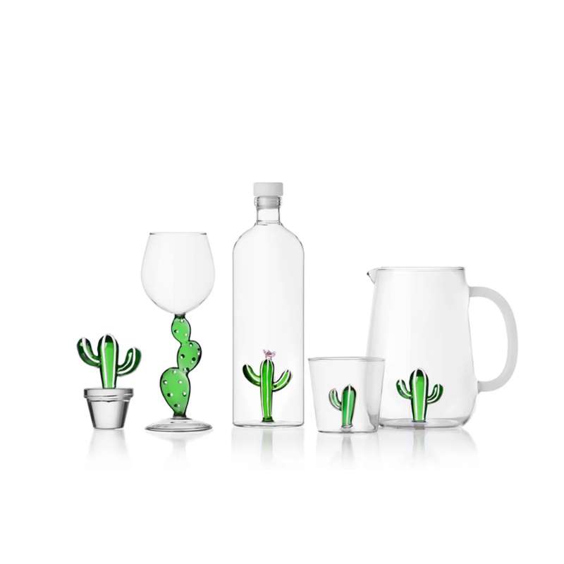 Bottle Desert Plants
