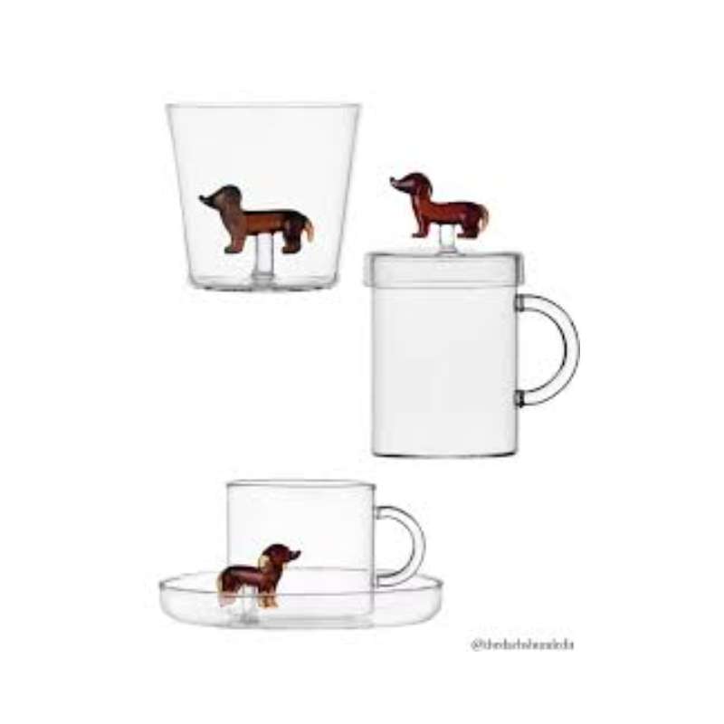 Tea Cup Dogs