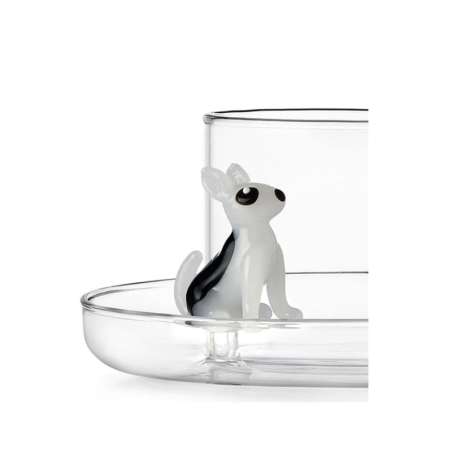 Tea Cup Dogs