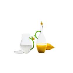 Bottle Fruits & Flowers