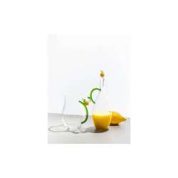 Bottle Fruits & Flowers