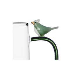 Jug Birds