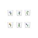 Glass Botanica