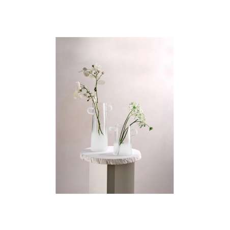 Vase Frosted Rayu