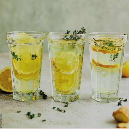 Coffret 4 longs verres "SAGA"
