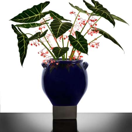 Flower Pot 08