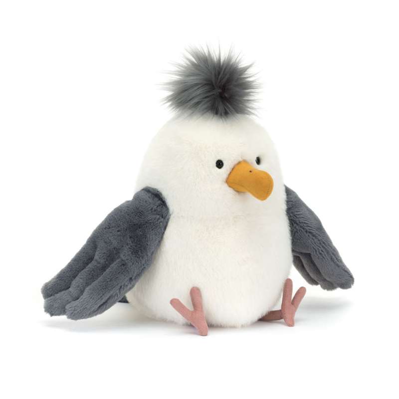 Chip Seagull