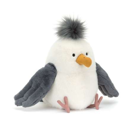 Chip Seagull