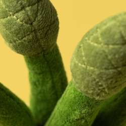 Asparagus Amuseables