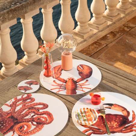Set De Table Vinyle - Pôdevache