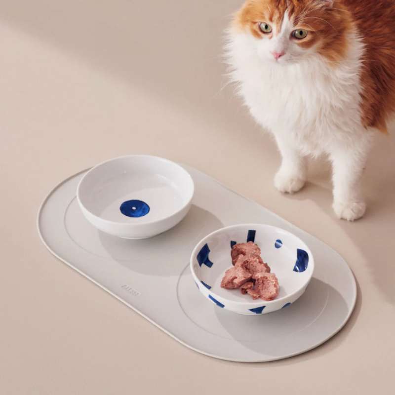 Gammelle Chat Itsumo Pet Yunoki Ware