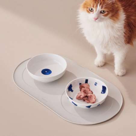 Gammelle Chat Itsumo Pet Yunoki Ware