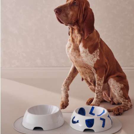 Itsumo Pet Yunoki Ware Gammelle à Eau Chien