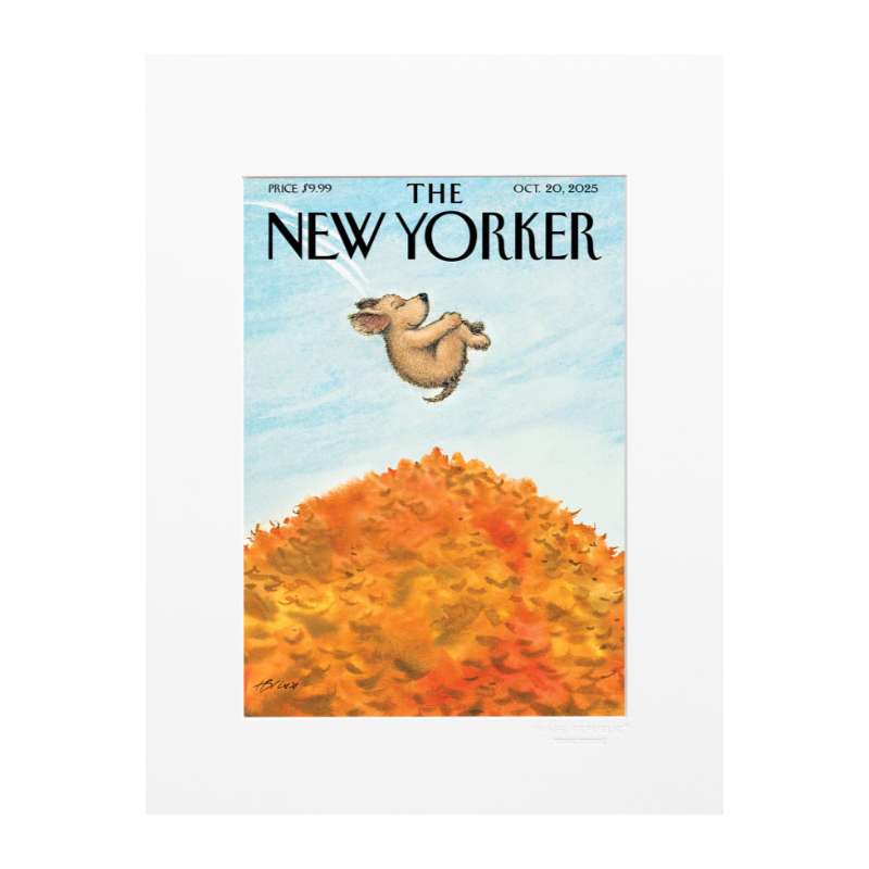 The Newyorker 292 Bliss 20 IMAGE REPUBLIC