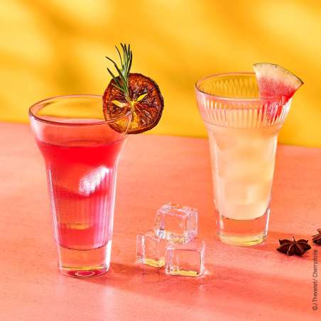 Coffret de 4 verres à pastis Calanques – 2 Fanny et 2 Marius – La Rochère LA ROCHÈRE