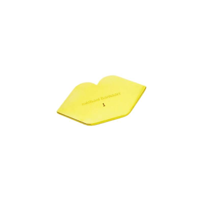 Broches Michael Barnaart MICHAEL BARNAART