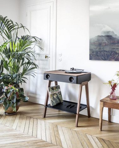 Enceinte LX Platine - La Boîte Concept